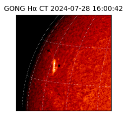 gong - 2024-07-28T16:00:42