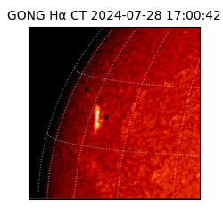 gong - 2024-07-28T17:00:42