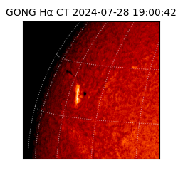 gong - 2024-07-28T19:00:42