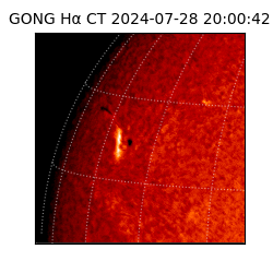 gong - 2024-07-28T20:00:42