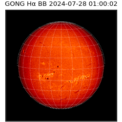 gong - 2024-07-28T01:00:02