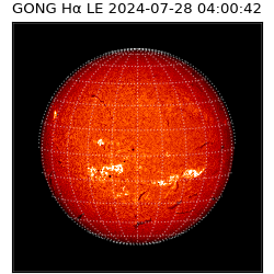 gong - 2024-07-28T04:00:42