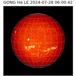 gong - 2024-07-28T06:00:42