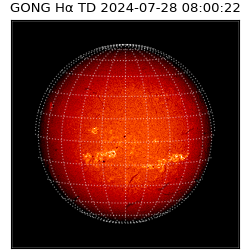 gong - 2024-07-28T08:00:22