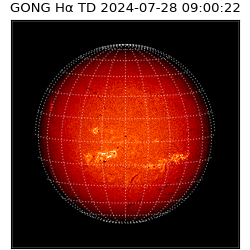 gong - 2024-07-28T09:00:22