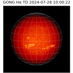 gong - 2024-07-28T10:00:22