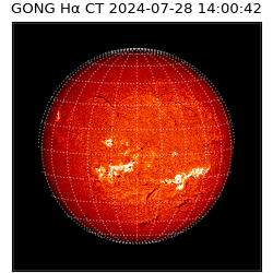 gong - 2024-07-28T14:00:42