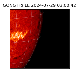 gong - 2024-07-29T03:00:42