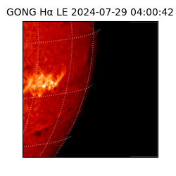 gong - 2024-07-29T04:00:42