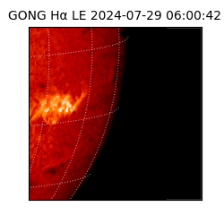 gong - 2024-07-29T06:00:42