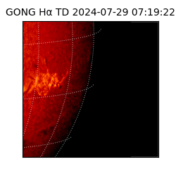 gong - 2024-07-29T07:19:22