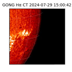 gong - 2024-07-29T15:00:42