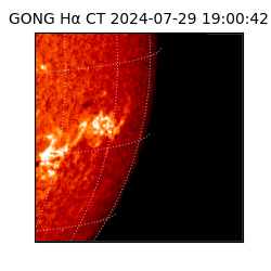 gong - 2024-07-29T19:00:42