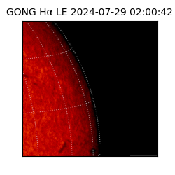 gong - 2024-07-29T02:00:42