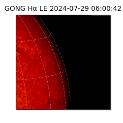 gong - 2024-07-29T06:00:42