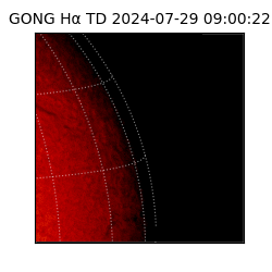 gong - 2024-07-29T09:00:22