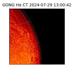 gong - 2024-07-29T13:00:42