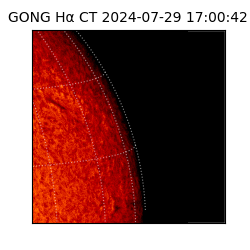 gong - 2024-07-29T17:00:42