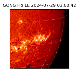 gong - 2024-07-29T03:00:42