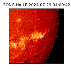 gong - 2024-07-29T04:00:42