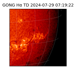 gong - 2024-07-29T07:19:22