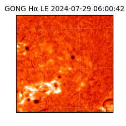 gong - 2024-07-29T06:00:42