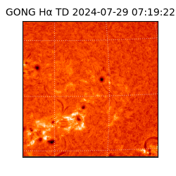 gong - 2024-07-29T07:19:22