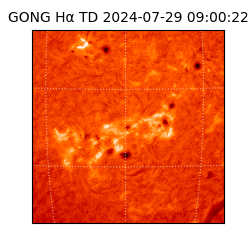 gong - 2024-07-29T09:00:22