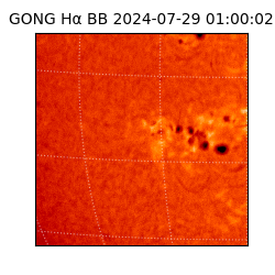 gong - 2024-07-29T01:00:02