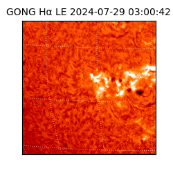 gong - 2024-07-29T03:00:42