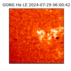 gong - 2024-07-29T06:00:42