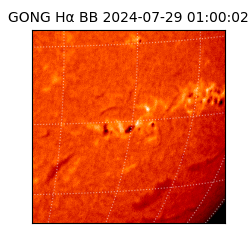 gong - 2024-07-29T01:00:02