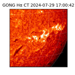 gong - 2024-07-29T17:00:42