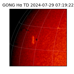 gong - 2024-07-29T07:19:22