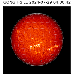 gong - 2024-07-29T04:00:42