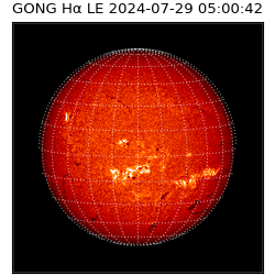 gong - 2024-07-29T05:00:42