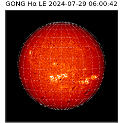 gong - 2024-07-29T06:00:42