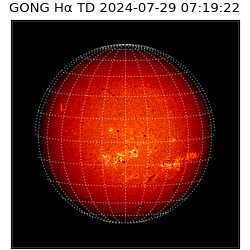 gong - 2024-07-29T07:19:22