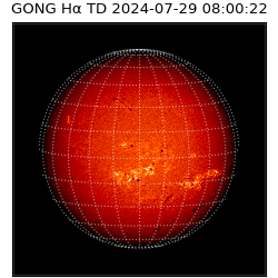 gong - 2024-07-29T08:00:22