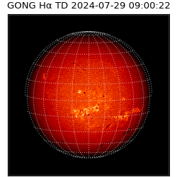 gong - 2024-07-29T09:00:22