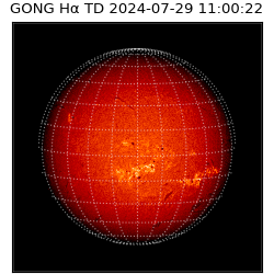 gong - 2024-07-29T11:00:22