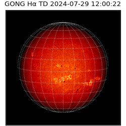 gong - 2024-07-29T12:00:22