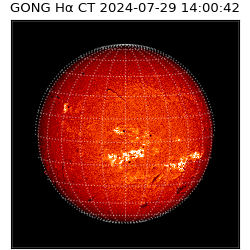 gong - 2024-07-29T14:00:42