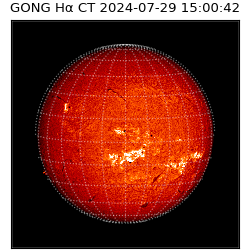 gong - 2024-07-29T15:00:42