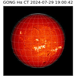 gong - 2024-07-29T19:00:42
