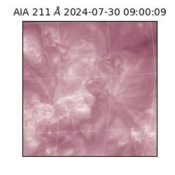 saia - 2024-07-30T09:00:09.632000