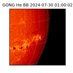 gong - 2024-07-30T01:00:02