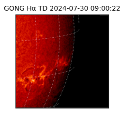 gong - 2024-07-30T09:00:22