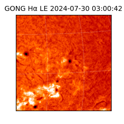 gong - 2024-07-30T03:00:42