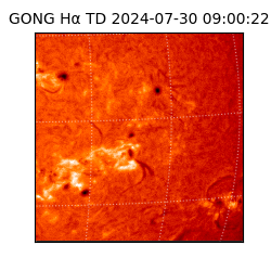 gong - 2024-07-30T09:00:22